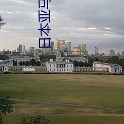 日本亚(亞)马(馬)逊中(中)文版(版)
