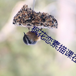 楓花戀素描課在線567