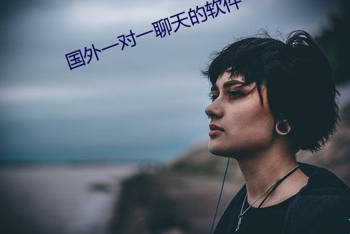 国外一对一聊天的软件