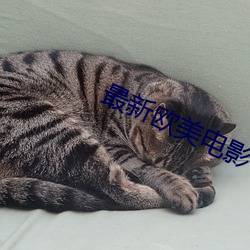 最新欧美电影