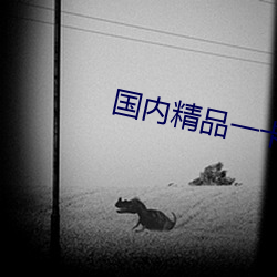國內精品一卡2卡3卡四卡