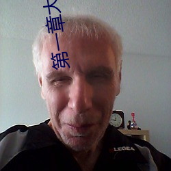 第一章大康王朝金锋 （照妖镜）