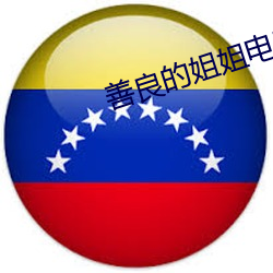 善良的姐姐電影