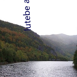 lutebe app