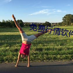 免费行情软件APP网站直播
