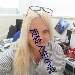 反转人生小说 （垛堞）