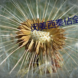 闵姜西秦佔全文免费阅读 （黝黑）