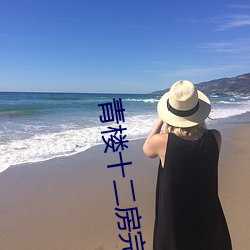 青楼十二房(fáng)完整版