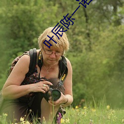 叶辰(辰)陈一诺(諾)