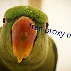 free proxy master