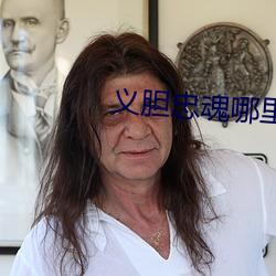 义胆(膽)忠魂哪(哪)里观看