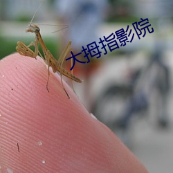 大(大)拇指影院