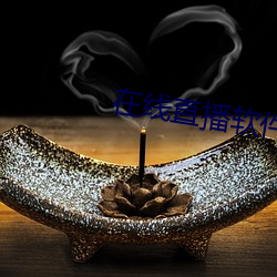 在(在)线(線)直播软件