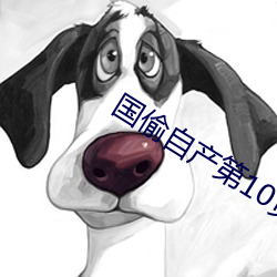 国偷自产第10页