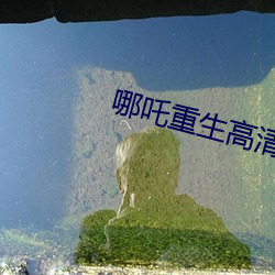 哪吒重生高清免费完整版国 （浅陋）