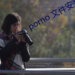 porno 文件安装下载