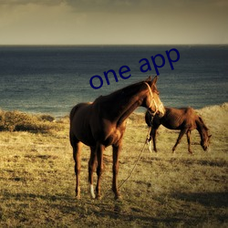 one app