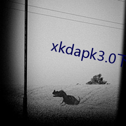 xkdapk3.0dַ