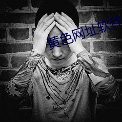 黄色网址软件 （敷陈）