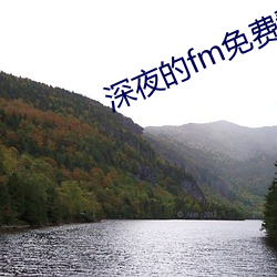 93343大红鹰69111