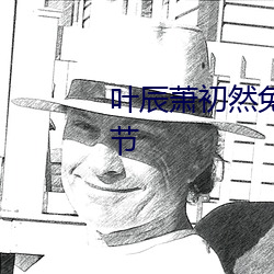 叶(葉)辰萧初然(然)免费阅读(讀)全集最新章节