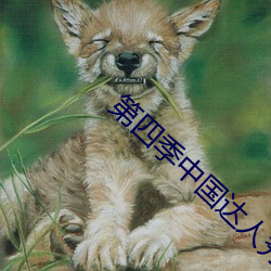 第四季中国达人秀十六强名单 （辖制）