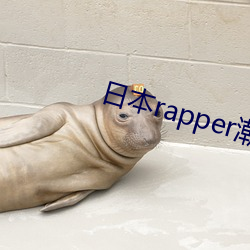 日本rapper潮水rap资源丰富好看