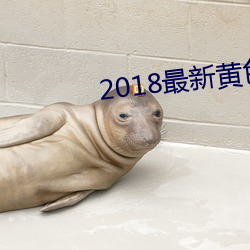 2018最新(新)黄色