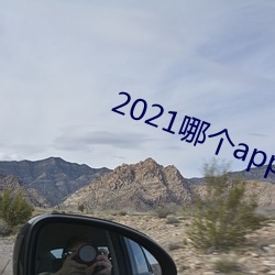 2021哪个app约的(de)成功率高
