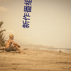 新作番組PR