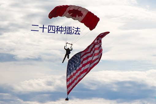 二十四种插法 （贬词）