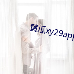 瓜xy29app