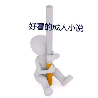 悦目的成人小說