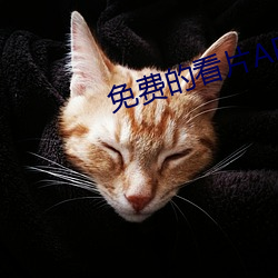 免费的看片APP