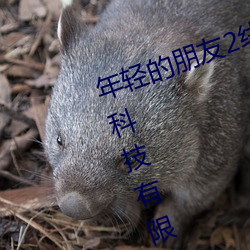 年轻(輕)的(的)朋友(友)2线(線)在完整视(視)频(頻)北京森馥(馥)科技(技)有限公(公)司中字(字)