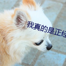 我真的是正经道士 （月球车）
