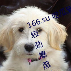 166.su 吃瓜黑料網址:一款專門看超級勁爆黑料、绯聞平台