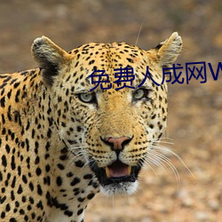 免费人成网WW555