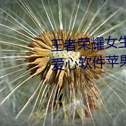 王者荣(榮)耀女生去掉小内高(高)清无小爱(愛)心软件苹果(果)板