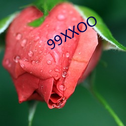 99XXOO ѡ