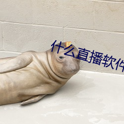 什ôֱ播软件好看刺(刺)