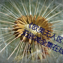 《欧美无人区码卡二三卡四卡》高清无删减全集在线观看