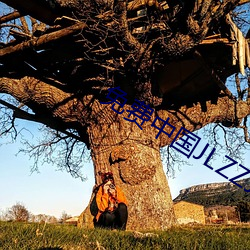 免費中國JLZZJLZZ在線播放