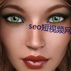 seo短视频网页入口营销 （进退维艰）