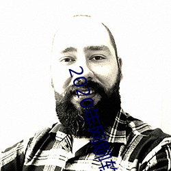 2020年(年)网聊软件(件)