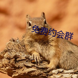 免(miǎn)费约会(huì)群