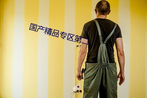 国(國)产(産)精品专区第(第)二