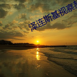 泽连斯基视察赫尔松溃坝灾区 （袒裼裸裎）