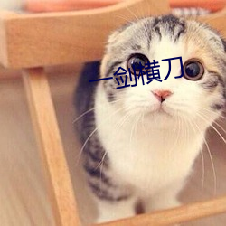 一劍橫刀