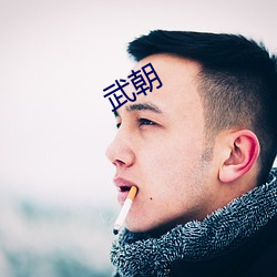 武(wǔ)朝